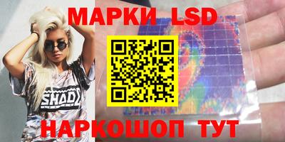 мдпв Бийск
