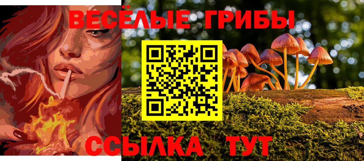 Карпинск  Псилоцибиновые грибы Magic Shrooms  где купить наркоту  Псилоцибиновые грибы Psilocybe  Вход с VPN 